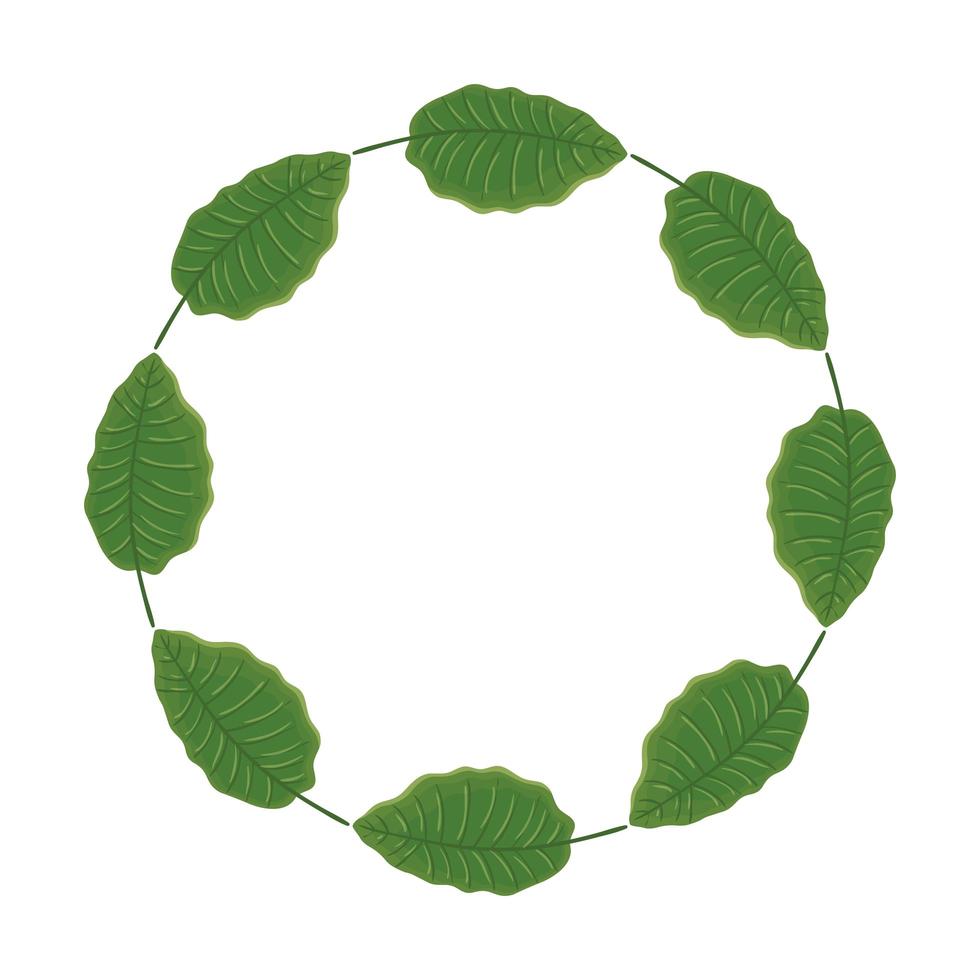 ram cirkulär av blad natur isolerade ikon vektor