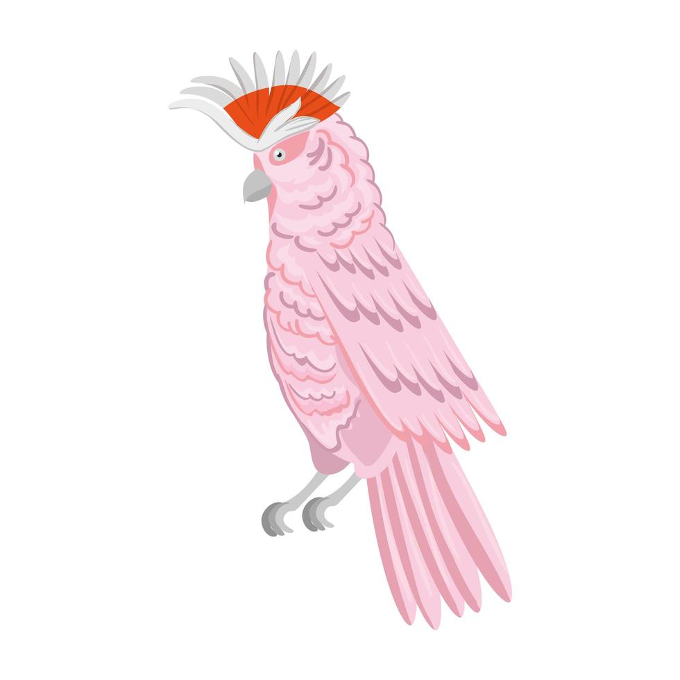 Papagei rosa Tier exotische isolierte Symbol vektor
