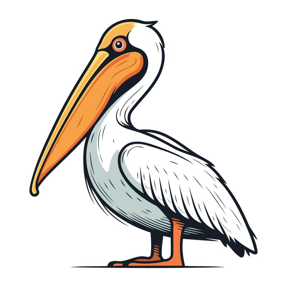 pelikan fågel vektor illustration isolerat på vit bakgrund. tecknad serie pelikan ikon.