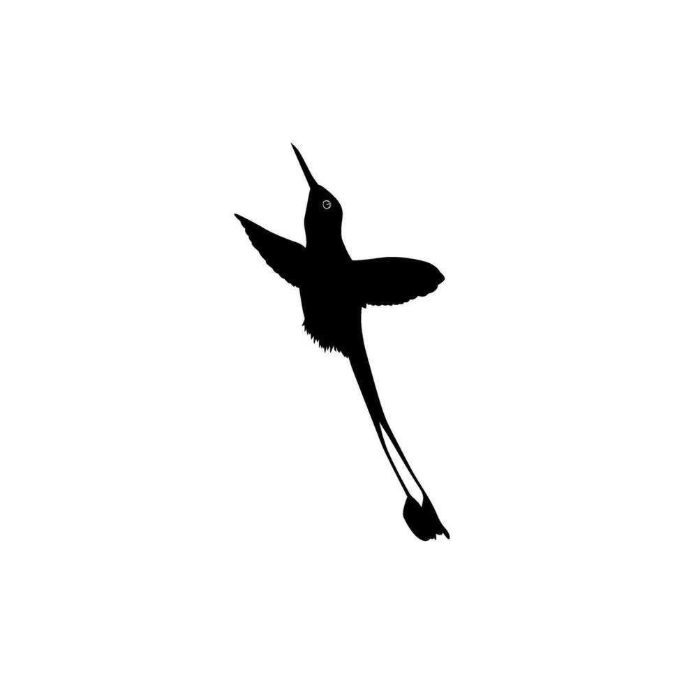 fliegend Kolibri Silhouette, können verwenden Kunst Illustration, Webseite, Logo Gramm, Piktogramm oder Grafik Design Element. Vektor Illustration