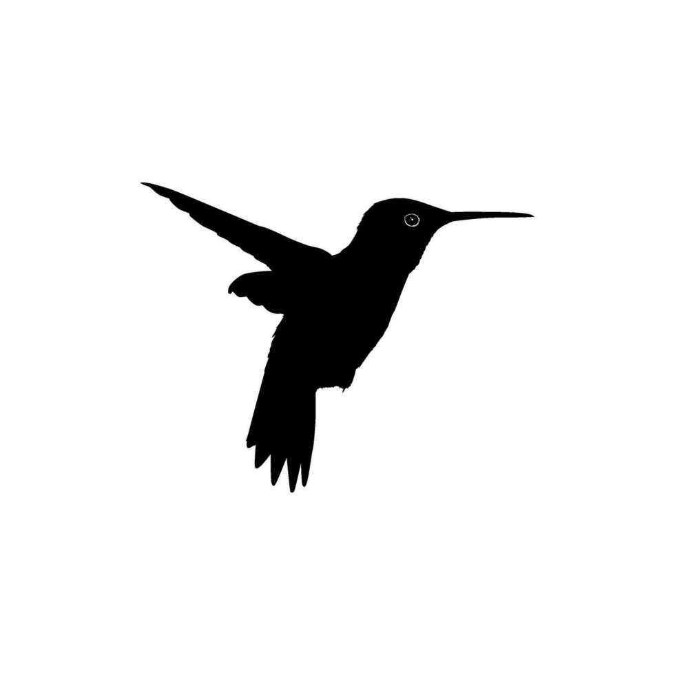 fliegend Kolibri Silhouette, können verwenden Kunst Illustration, Webseite, Logo Gramm, Piktogramm oder Grafik Design Element. Vektor Illustration