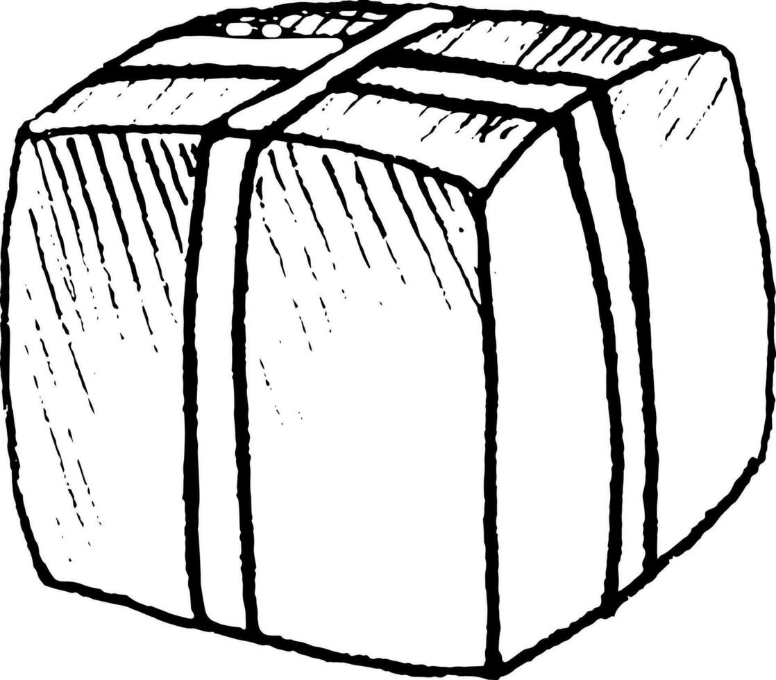 Hand gezeichnet Vektor Illustration von Geschenk Box mit Band ohne Bogen. schwarz und Weiß skizzieren von ein Geschenk.