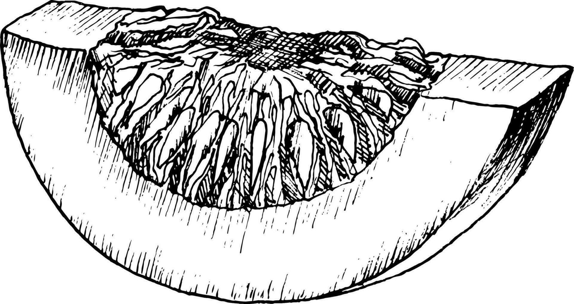 Hand gezeichnet Kürbis Scheibe, Vektor Illustration dekorativ Design Element, Kürbis Spieß.