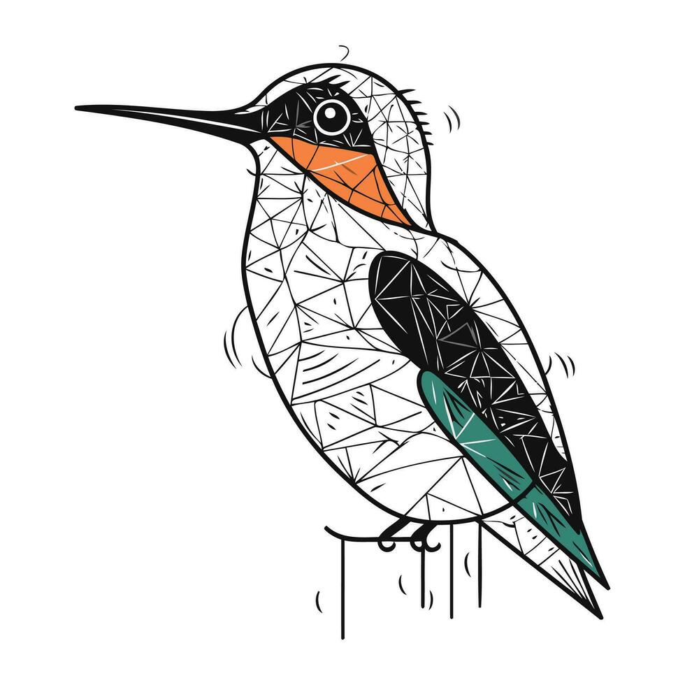 Hand gezeichnet Vektor Illustration von ein Eisvogel. isoliert auf Weiß Hintergrund.