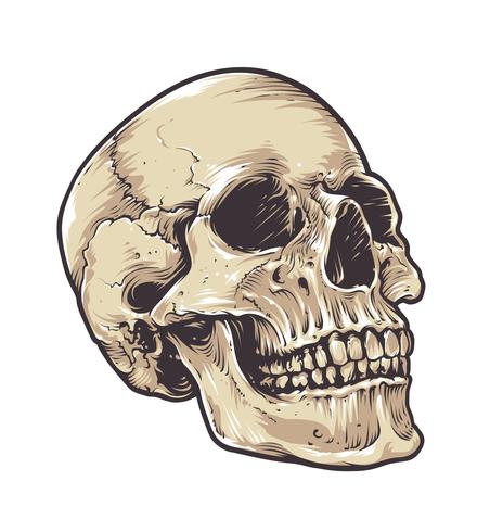 Anatomisk Grunge Skull vektor