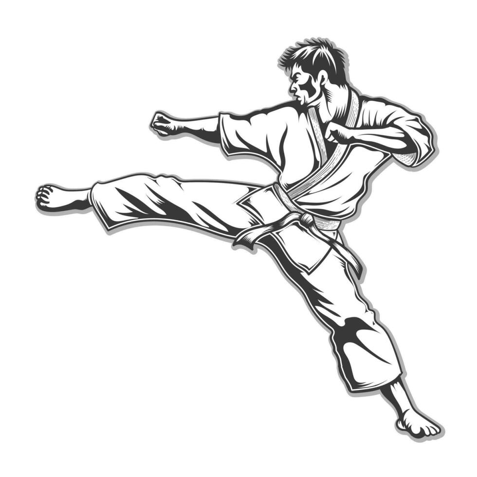 Karate Kämpfer Vektor Design schwarz und Weiß