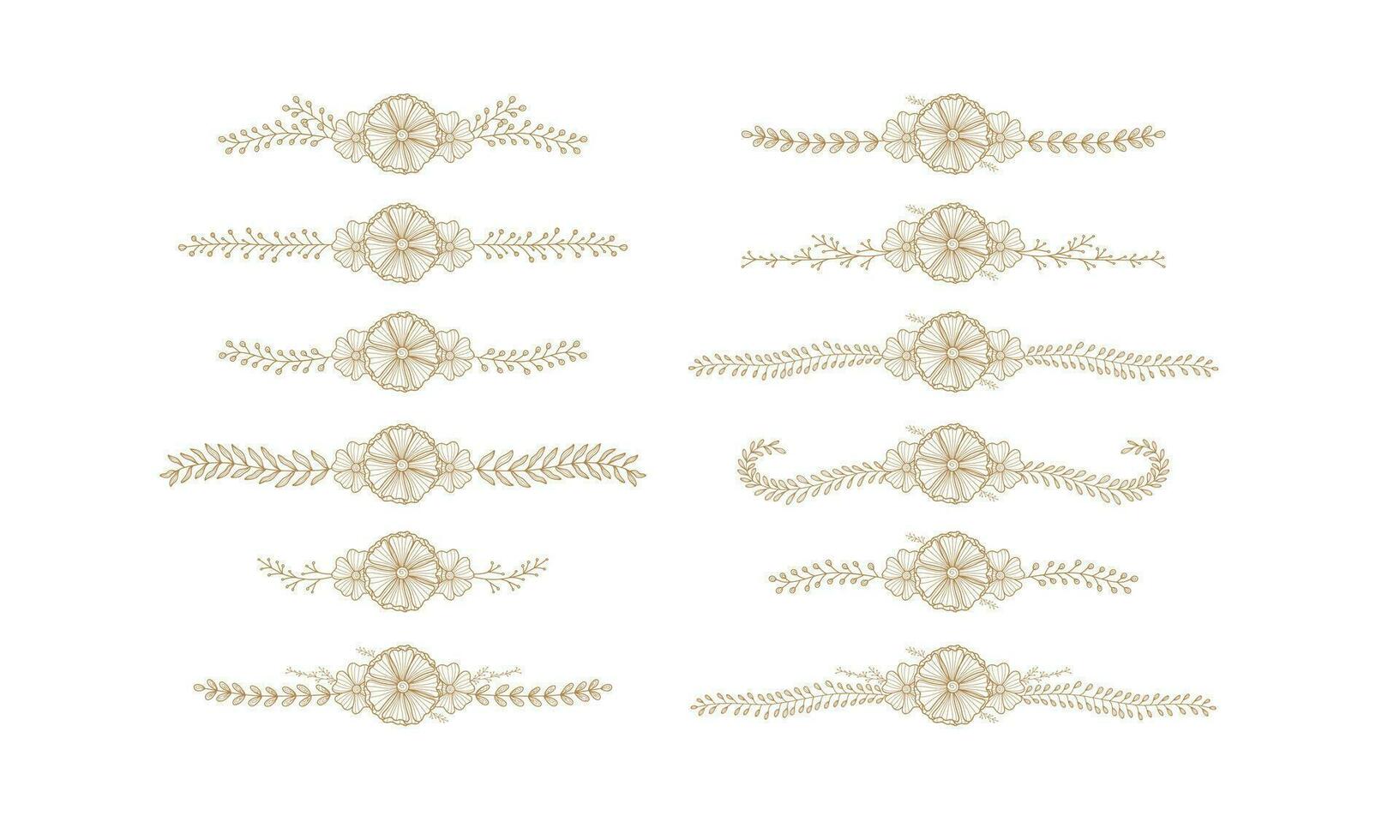 Sammlung von Hand gezeichnet rustikal Jahrgang blühen Blume Linie Teiler Dekoration. Vektor Blumen- Element Dekoration