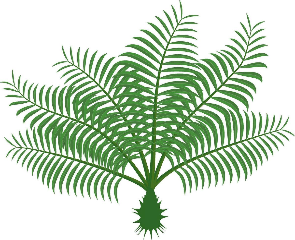 tropisch Blätter Pflanze isoliert Symbol Vektor Illustration Design Vektor Illustration Design, zwei Palme Blätter sind gezeigt auf ein Weiß Hintergrund