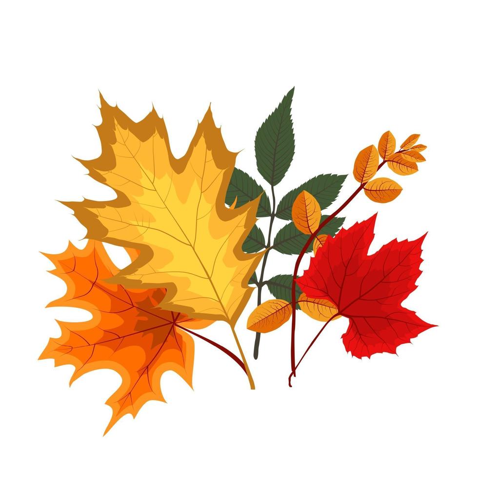 Herbst fallende Blätter Symbol isoliert vektor