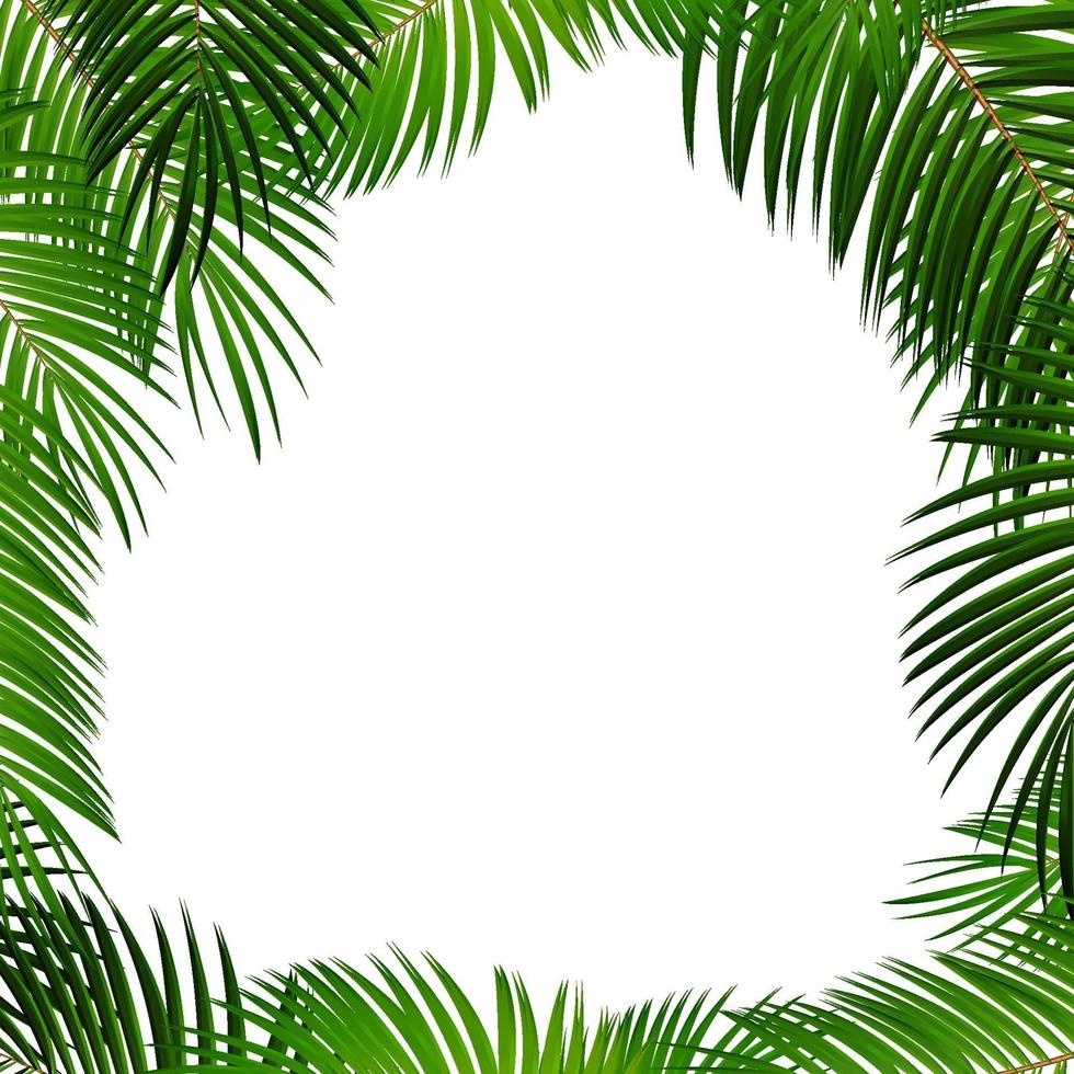 Palmblatt auf weißem Hintergrund mit Platz für Ihren Text vektor