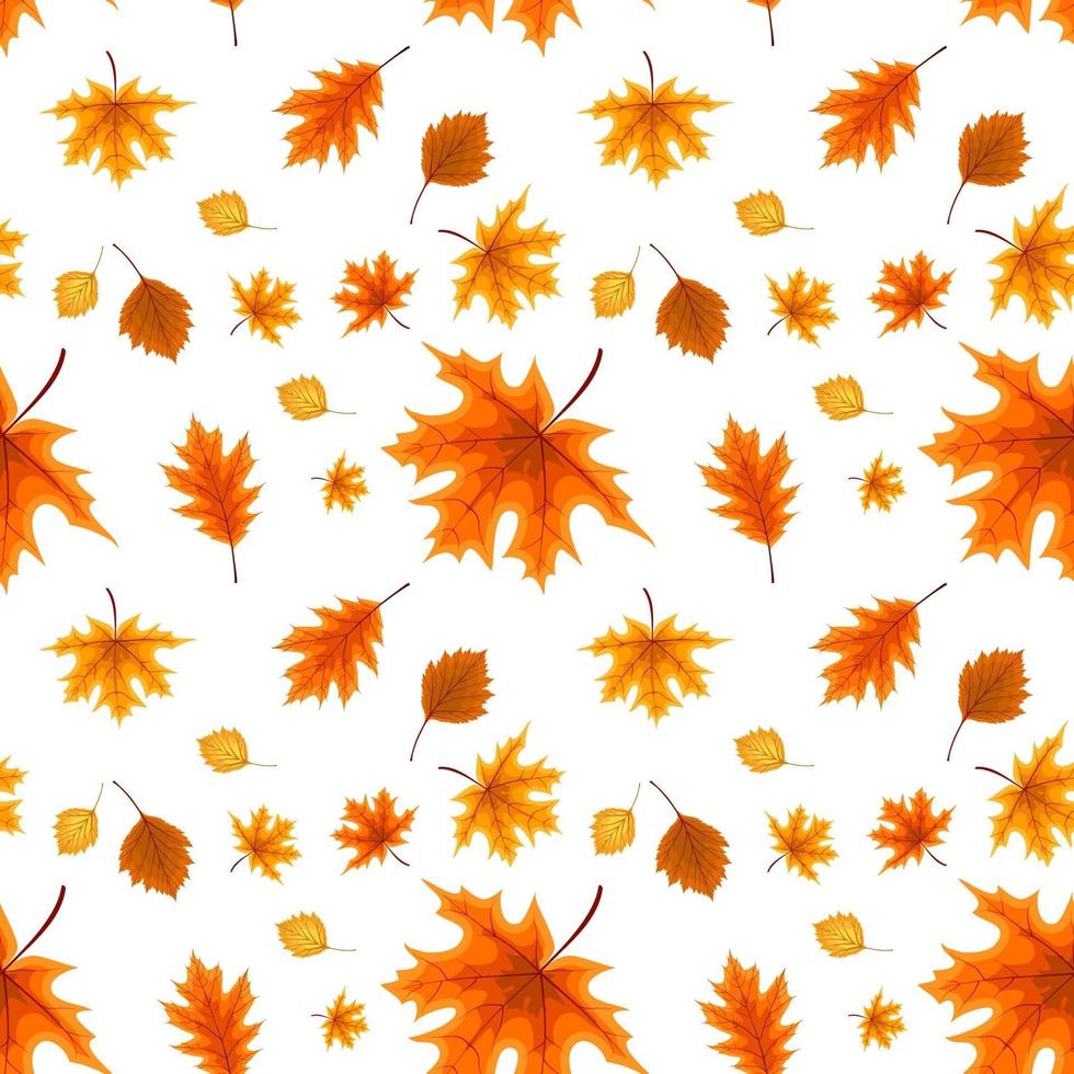 Herbst orange und rot gefallene Blätter. nahtloses Muster. vektor