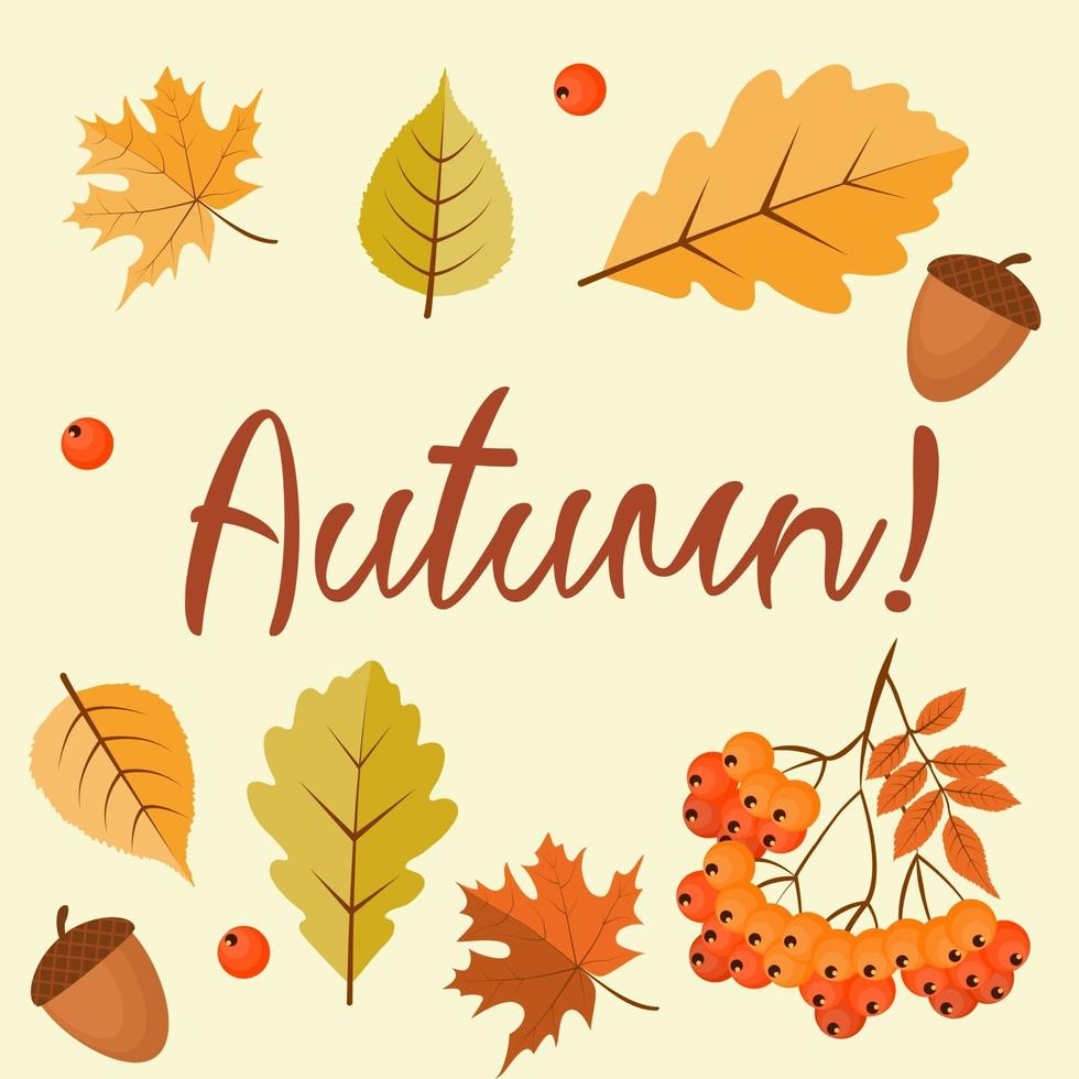abstrakter Herbsthintergrund mit fallenden Blättern, Ebereschen und Eicheln. vektor