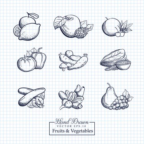 Handdragen Frukt &amp; Grönsak Illustration vektor