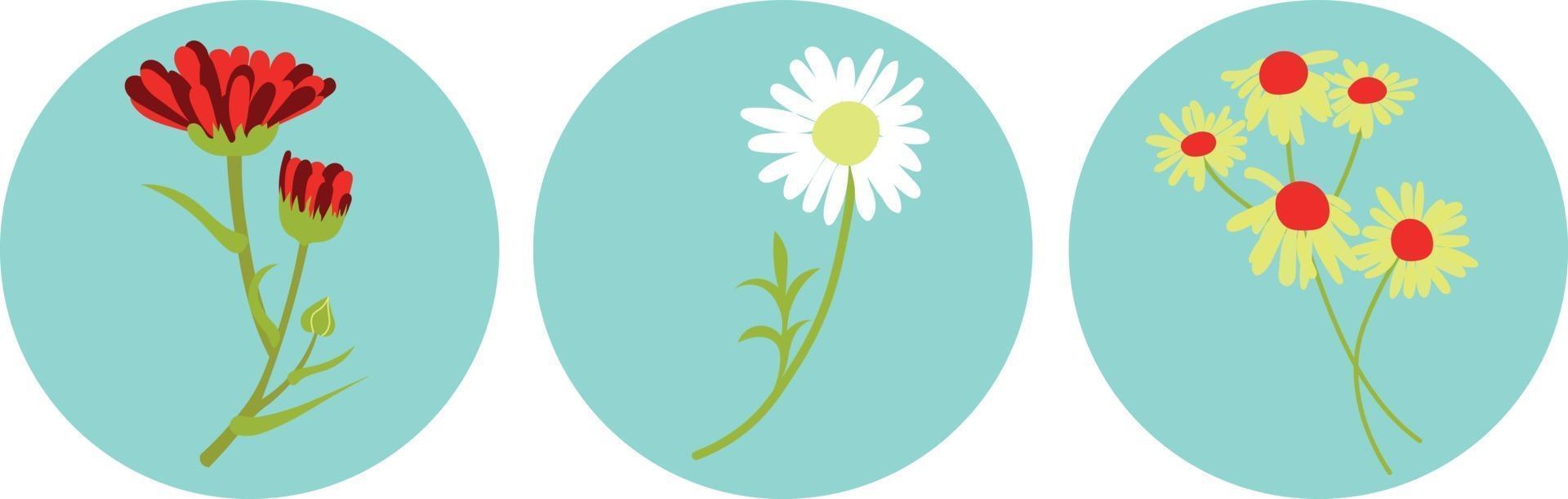 Symbole für verwandte Geschichten mit Kamille und Ringelblume auf Blau. vektor