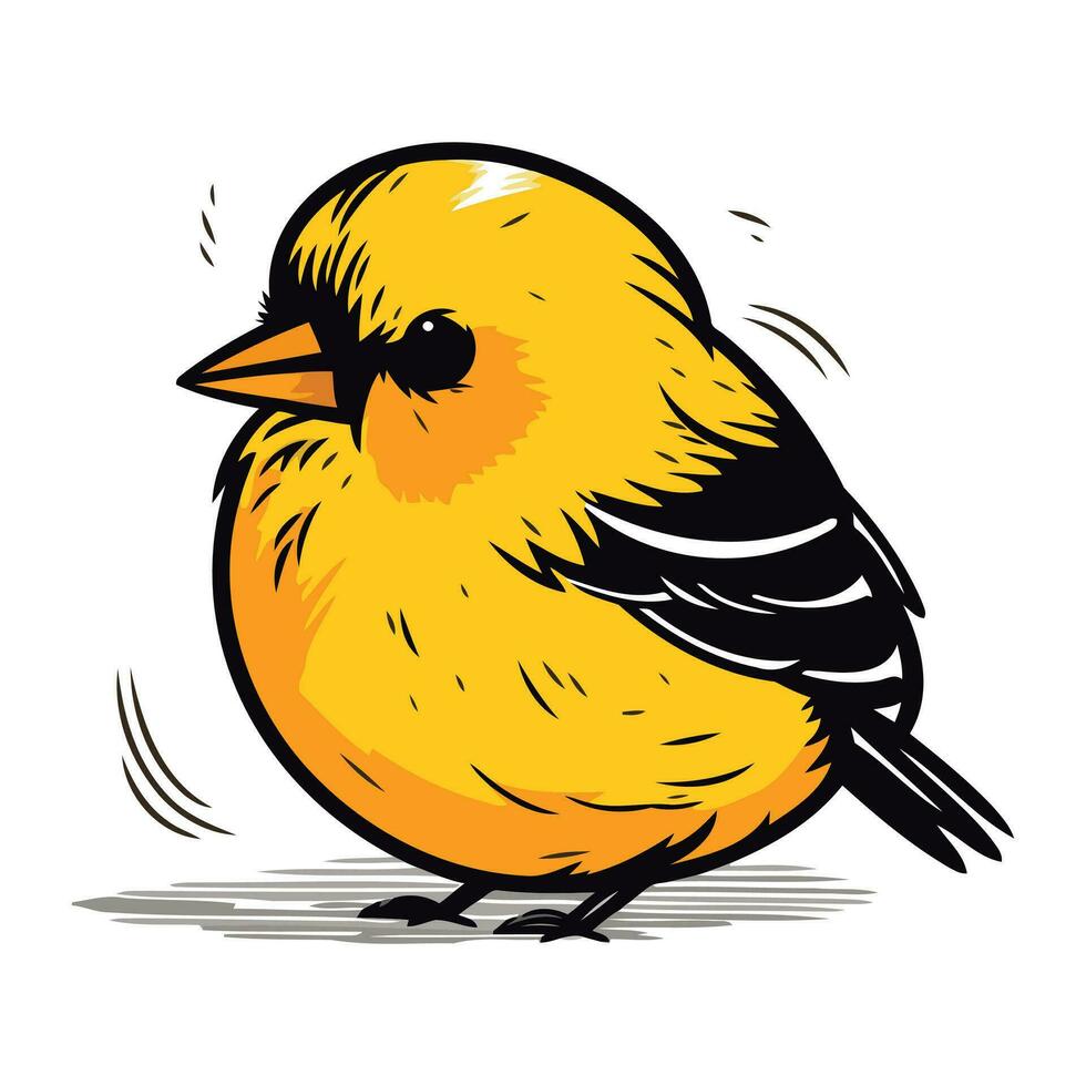 Gimpel. Vektor Illustration von ein Vogel auf ein Weiß Hintergrund.