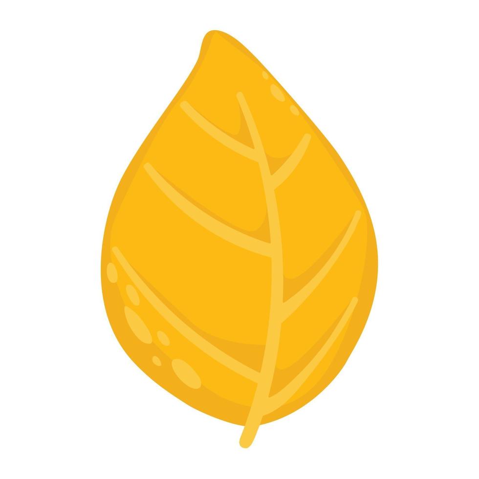 Herbst gelbes Blatt isoliert auf weißem Hintergrund. Herbstdesign vektor