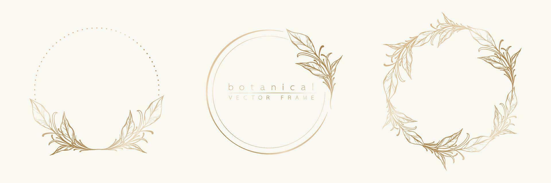 botanisk gyllene cirkel ram uppsättning. hand dragen runda linje gräns, löv och blommor för bröllop inbjudan och kort, logotyp design, social media och posters mall. elegant minimal blommig vektor. vektor