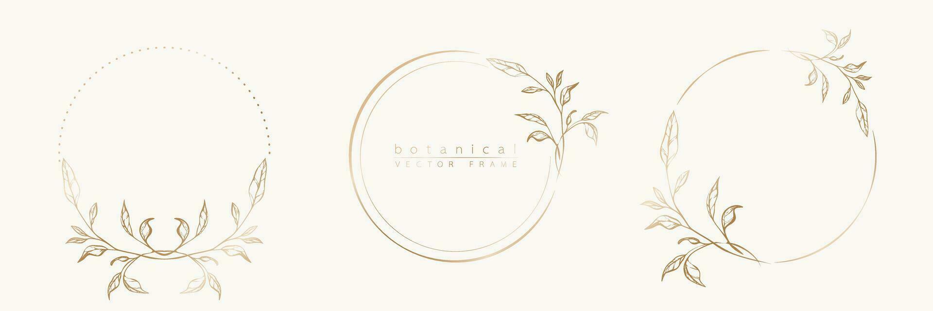 botanisk gyllene cirkel ram uppsättning. hand dragen runda linje gräns, löv och blommor för bröllop inbjudan och kort, logotyp design, social media och posters mall. elegant minimal blommig vektor. vektor