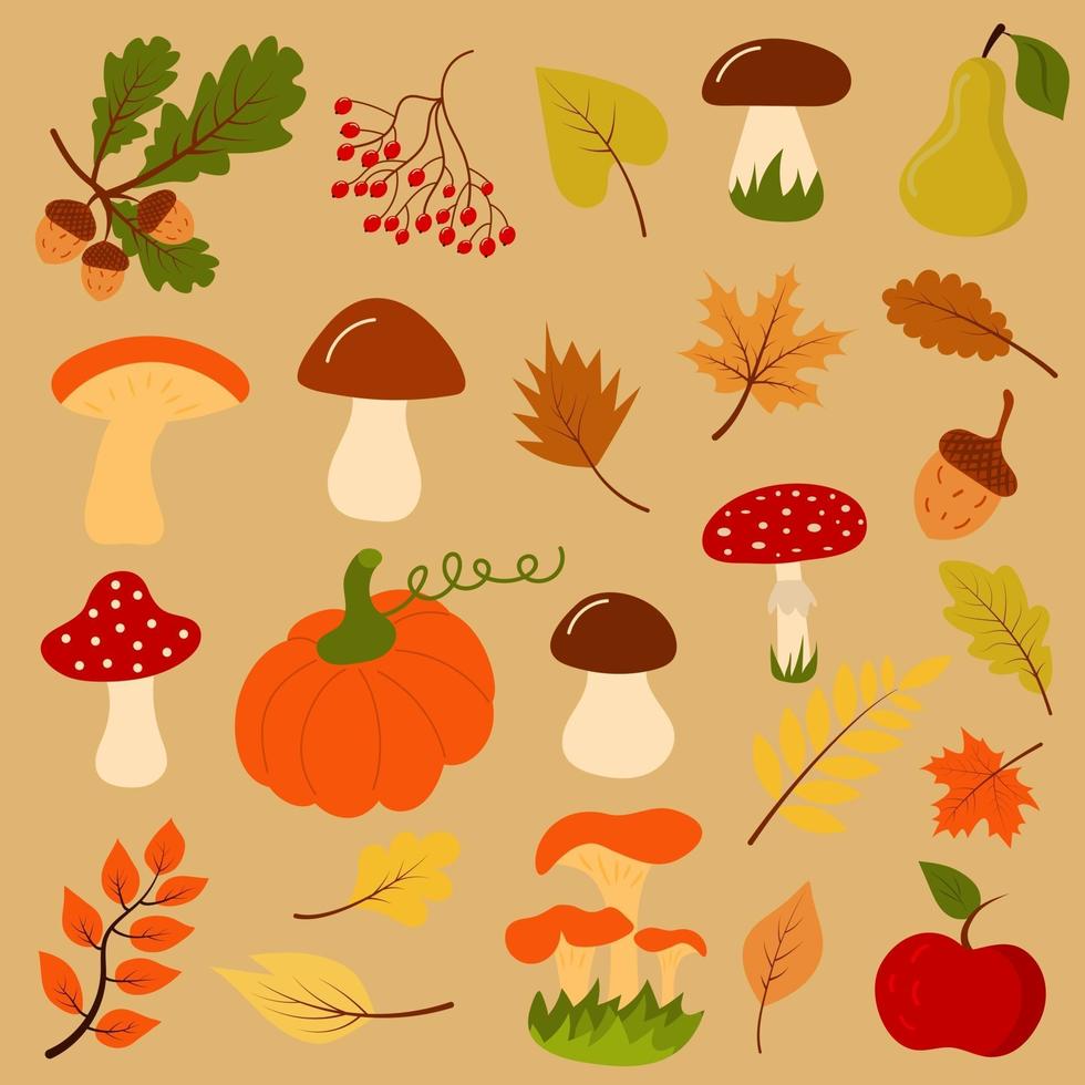höstgåvor som svamp, pumpa, ekollon, löv, bär. vektor