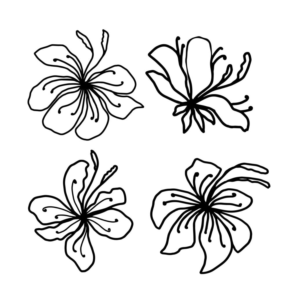 Blumenvektor-Set Strichzeichnungen, minimalistische Konturhandzeichnung vektor