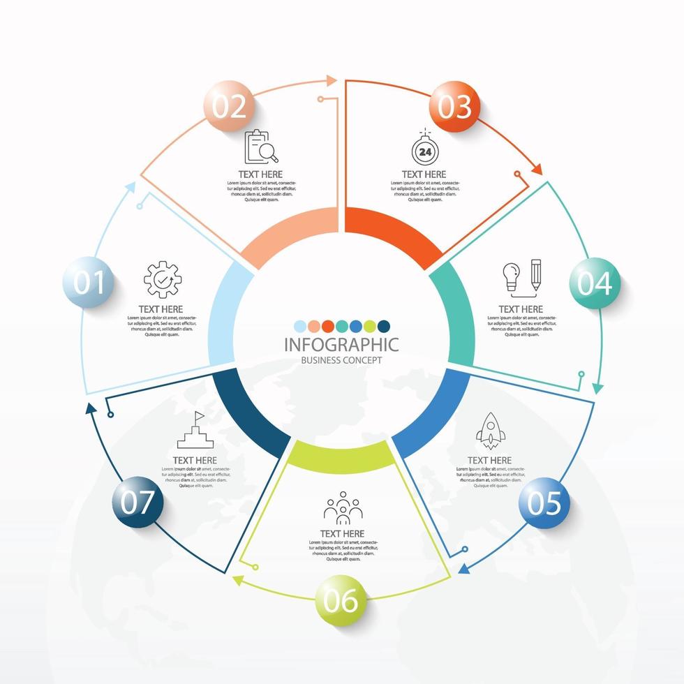 grundläggande cirkel infografisk mall med 7 steg vektor