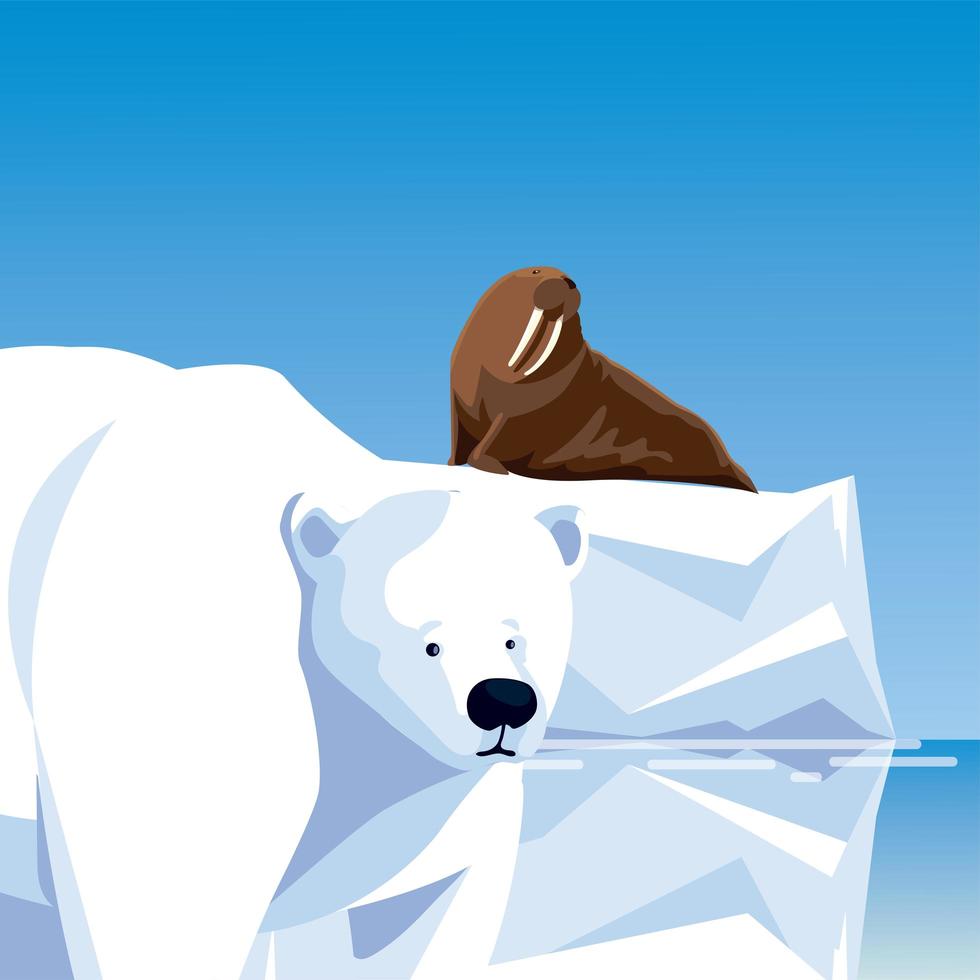 Walross auf Eisberg und Eisbärenwasser Nordpoltiere vektor