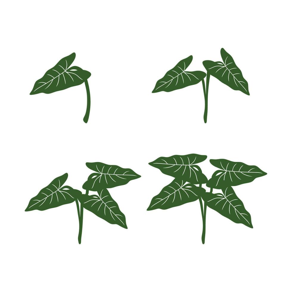 utsäde tillväxt illustration logotyp. uppsättning av grön blad logotyp design inspiration vektor ikoner