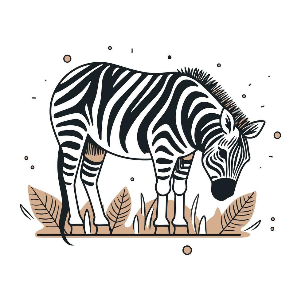 Zebra im das Dschungel. Hand gezeichnet Vektor Illustration im Jahrgang Stil.