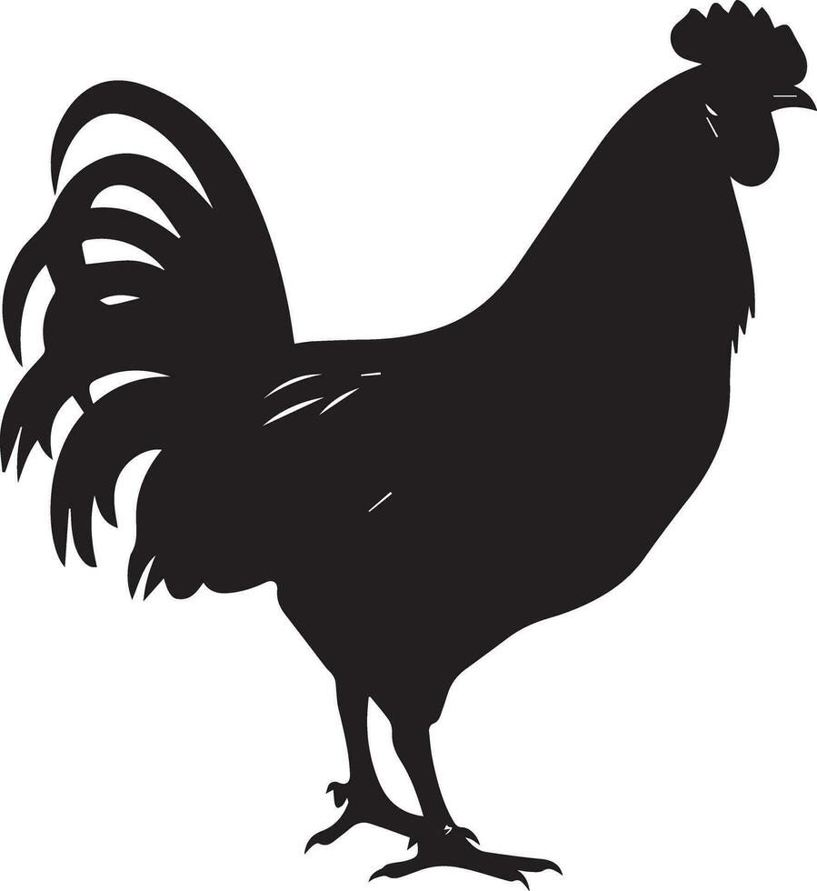 australorp kyckling vektor silhuett illustration svart Färg 20