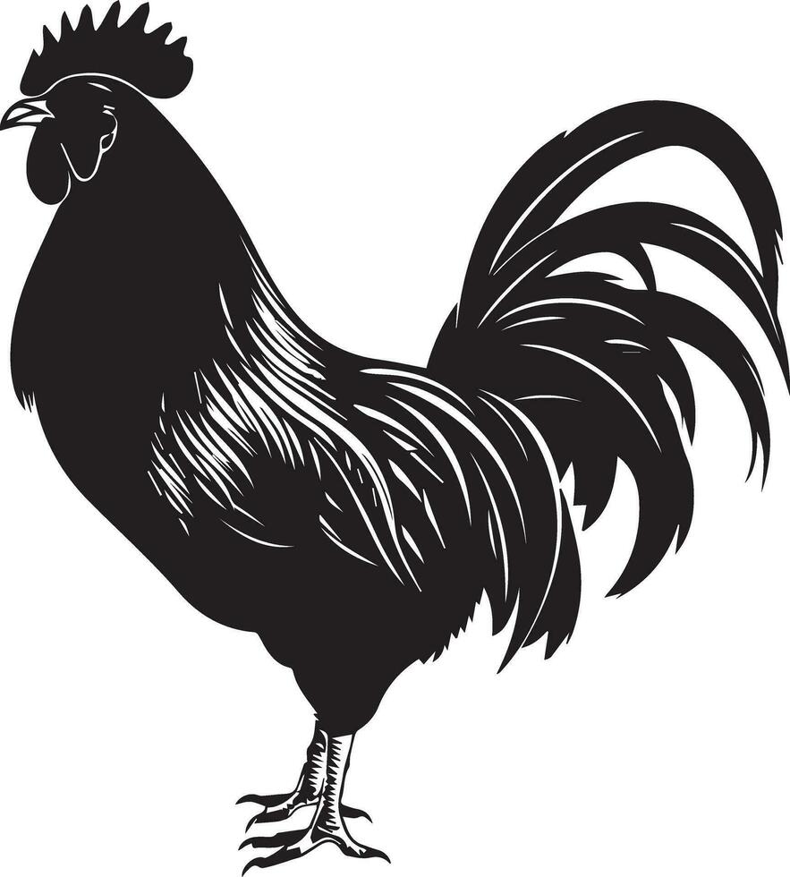 australorp kyckling vektor silhuett illustration svart Färg 15