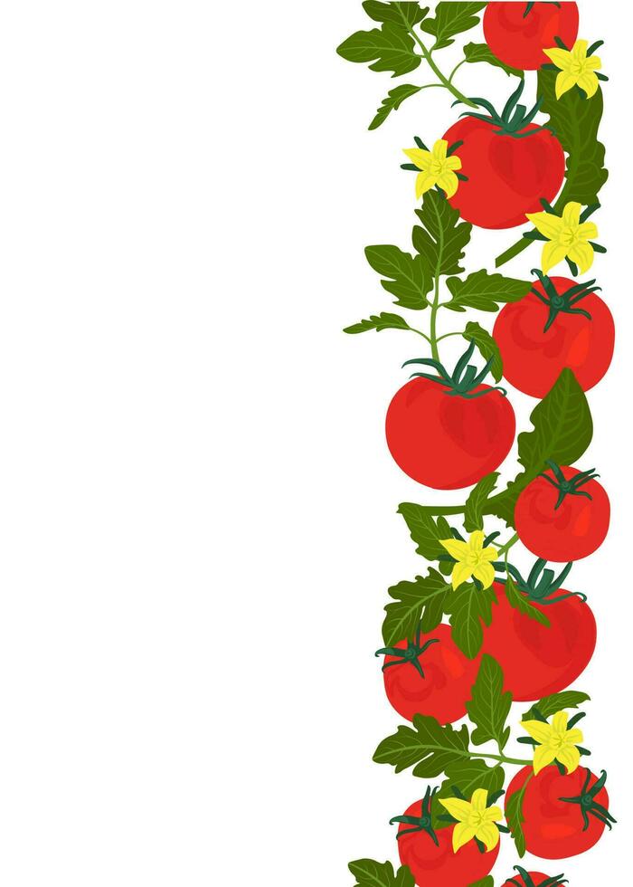 Tomaten Vertikale Rand Vektor Lager Illustration. nahtlos Muster zum das Küche, Lebensmittelgeschäft speichern. Band Muster von Gemüse isoliert Hintergrund.