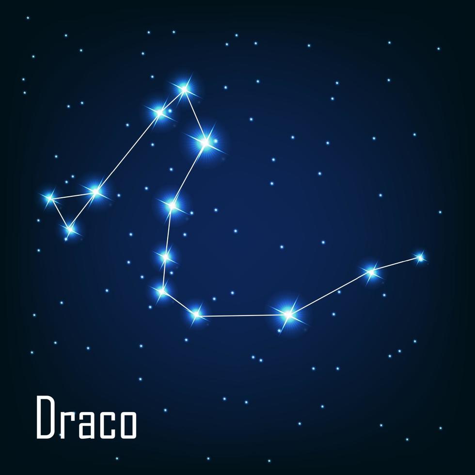 stjärnbilden draco -stjärnan på natthimlen. vektor