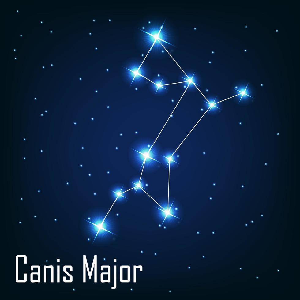 das Sternbild Canis Hauptstern am Nachthimmel. vektor