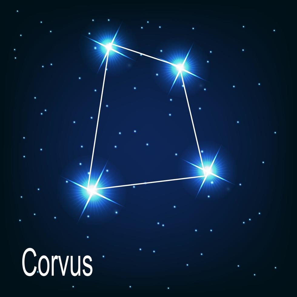 stjärnbilden corvus stjärna på natthimlen. vektor