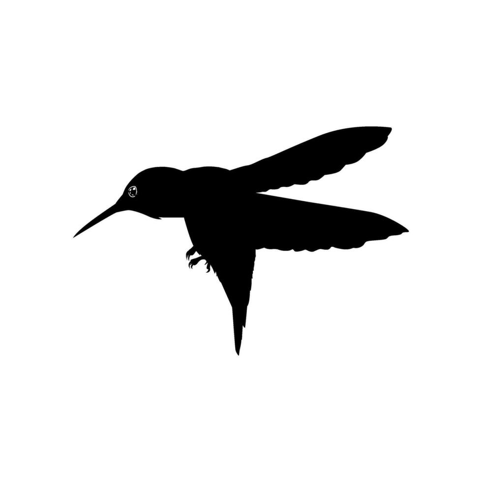 fliegend Kolibri Silhouette, können verwenden Kunst Illustration, Webseite, Logo Gramm, Piktogramm oder Grafik Design Element. Vektor Illustration