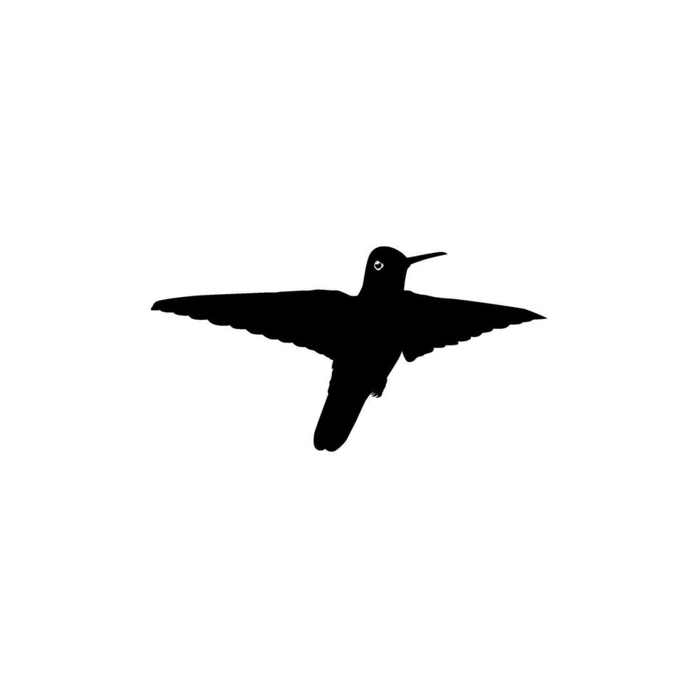 fliegend Kolibri Silhouette, können verwenden Kunst Illustration, Webseite, Logo Gramm, Piktogramm oder Grafik Design Element. Vektor Illustration