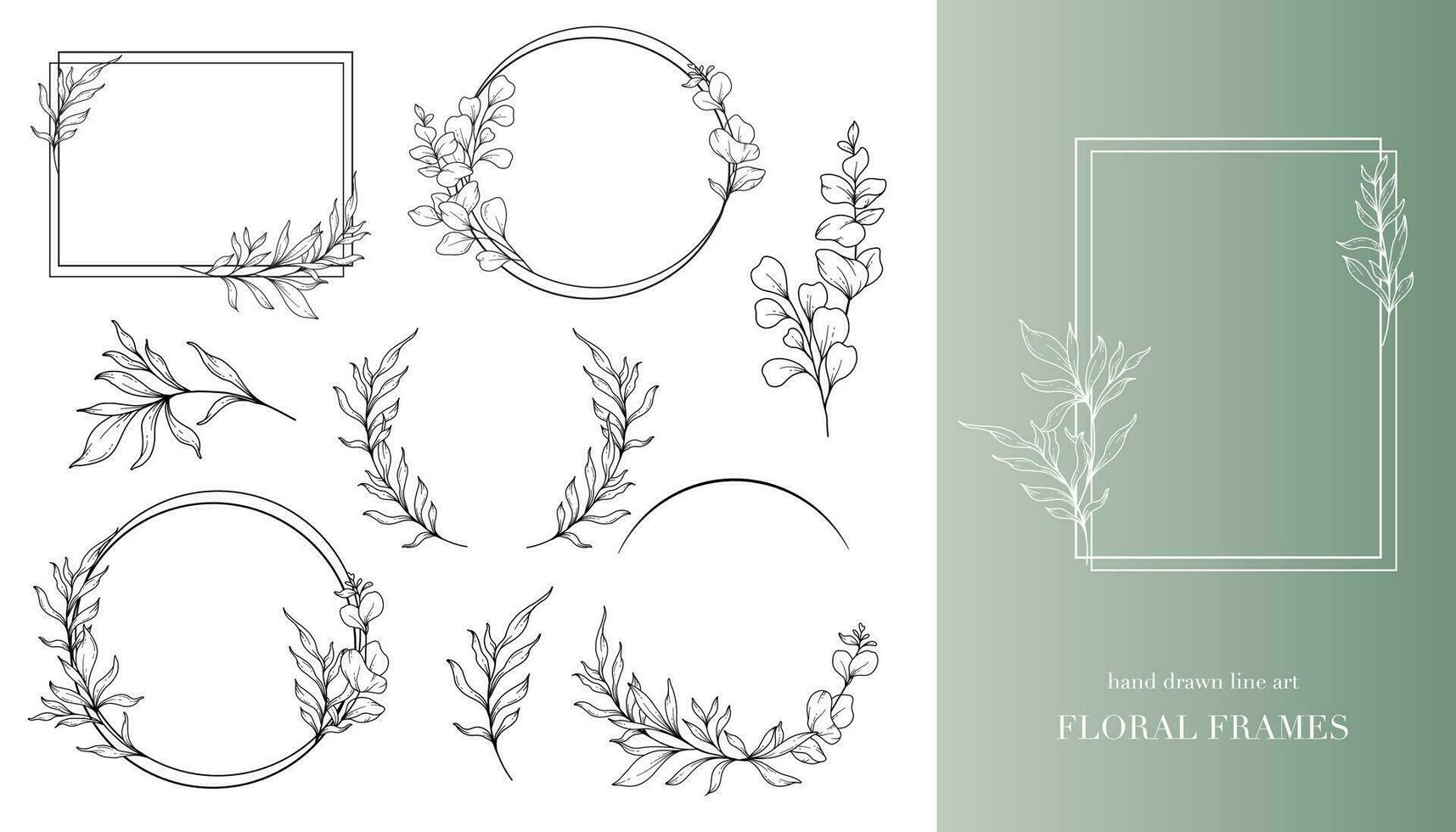 Eukalyptus Linie Kunst. Blumen- Frames und Blumensträuße Linie Kunst. fein Linie Eukalyptus Frames Hand gezeichnet Illustration. Hand zeichnen Gliederung Blätter und Blumen. botanisch Färbung Buchseite. Eukalyptus isoliert vektor