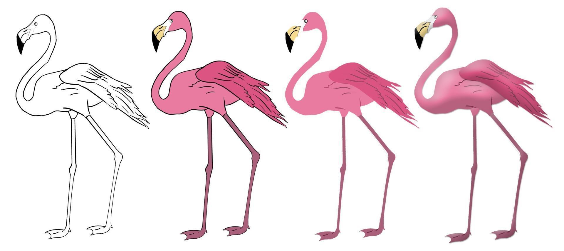 Flamingo-Vektor-Illustration in einem weißen Hintergrund isoliert vektor