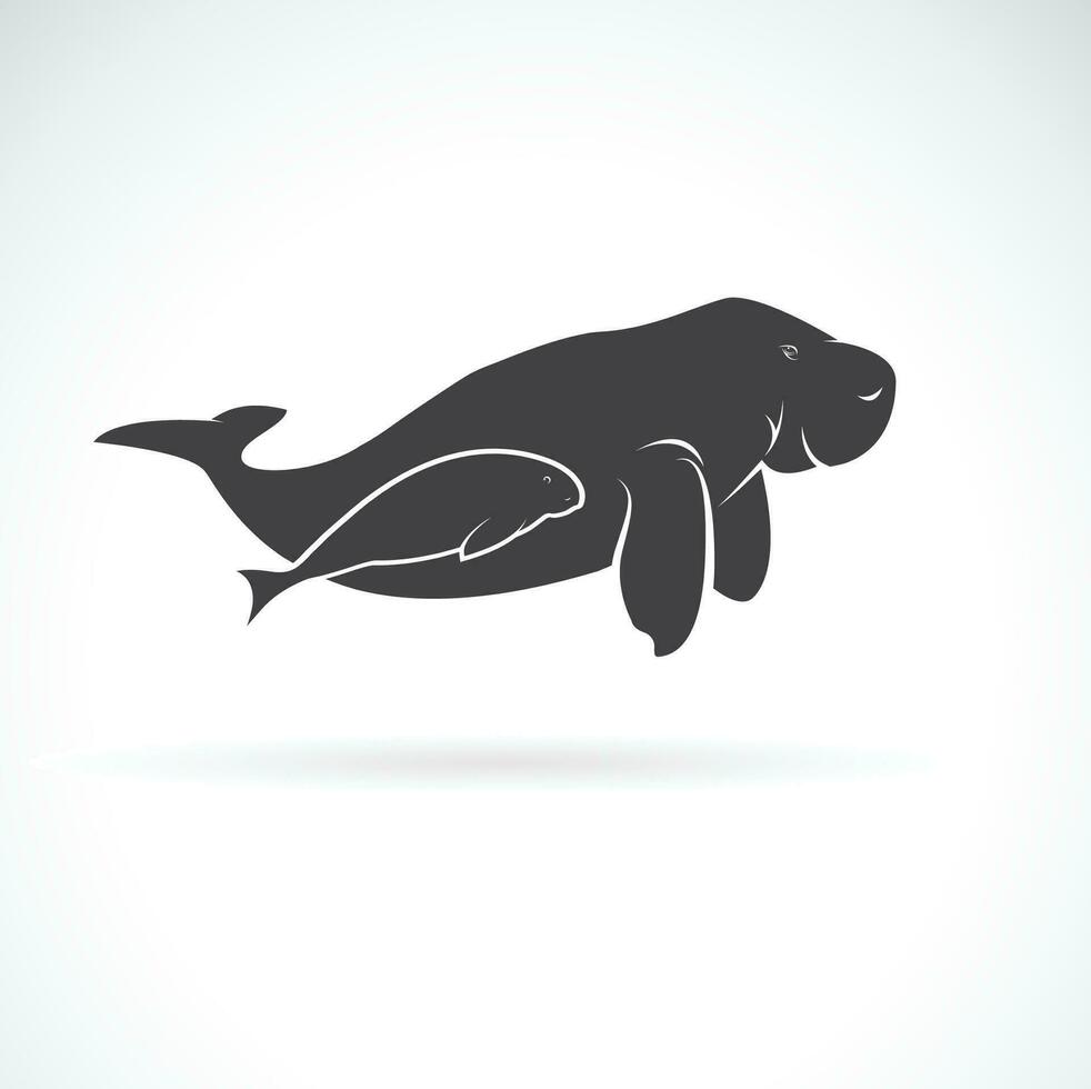 vektor av dugong mor och dugong barn på vit bakgrund. manatee, djur. däggdjur. lätt redigerbar skiktad vektor illustration.