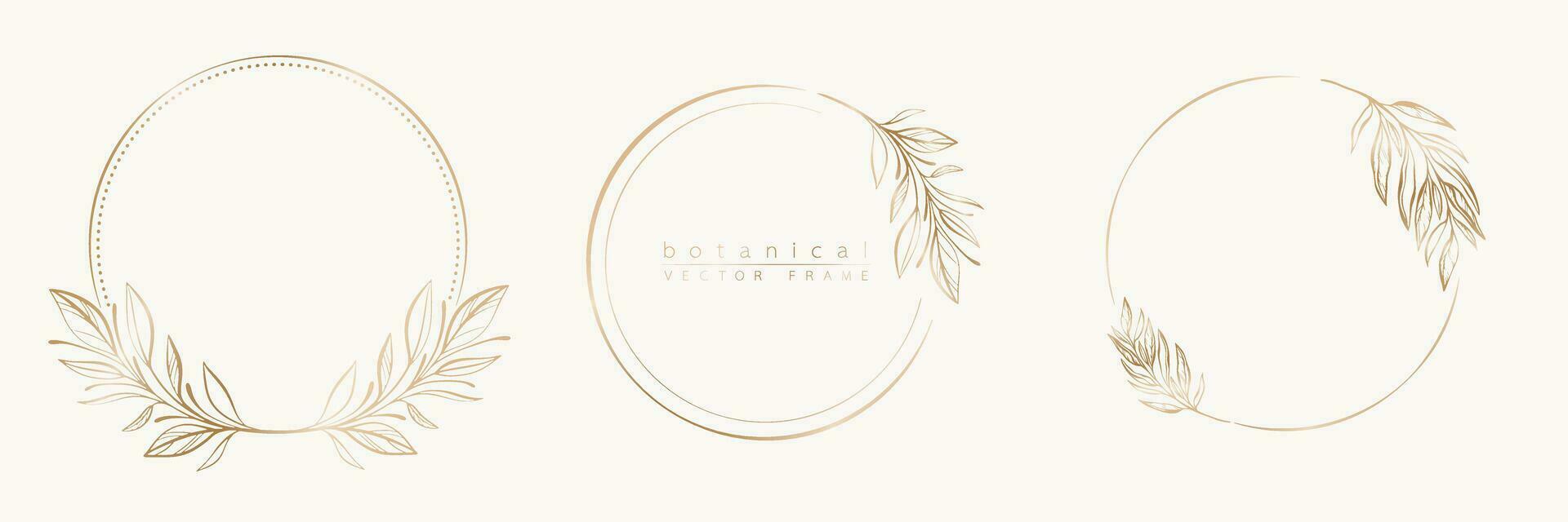 botanisch golden Kreis Rahmen Satz. Hand gezeichnet runden Linie Grenze, Blätter und Blumen zum Hochzeit Einladung und Karten, Logo Design, Sozial Medien und Plakate Vorlage. elegant minimal Blumen- Vektor. vektor