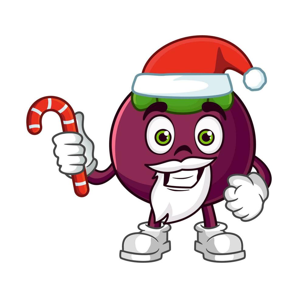 Mangostan Obst Santa Karikatur Charakter hält Weihnachten Süßigkeiten vektor