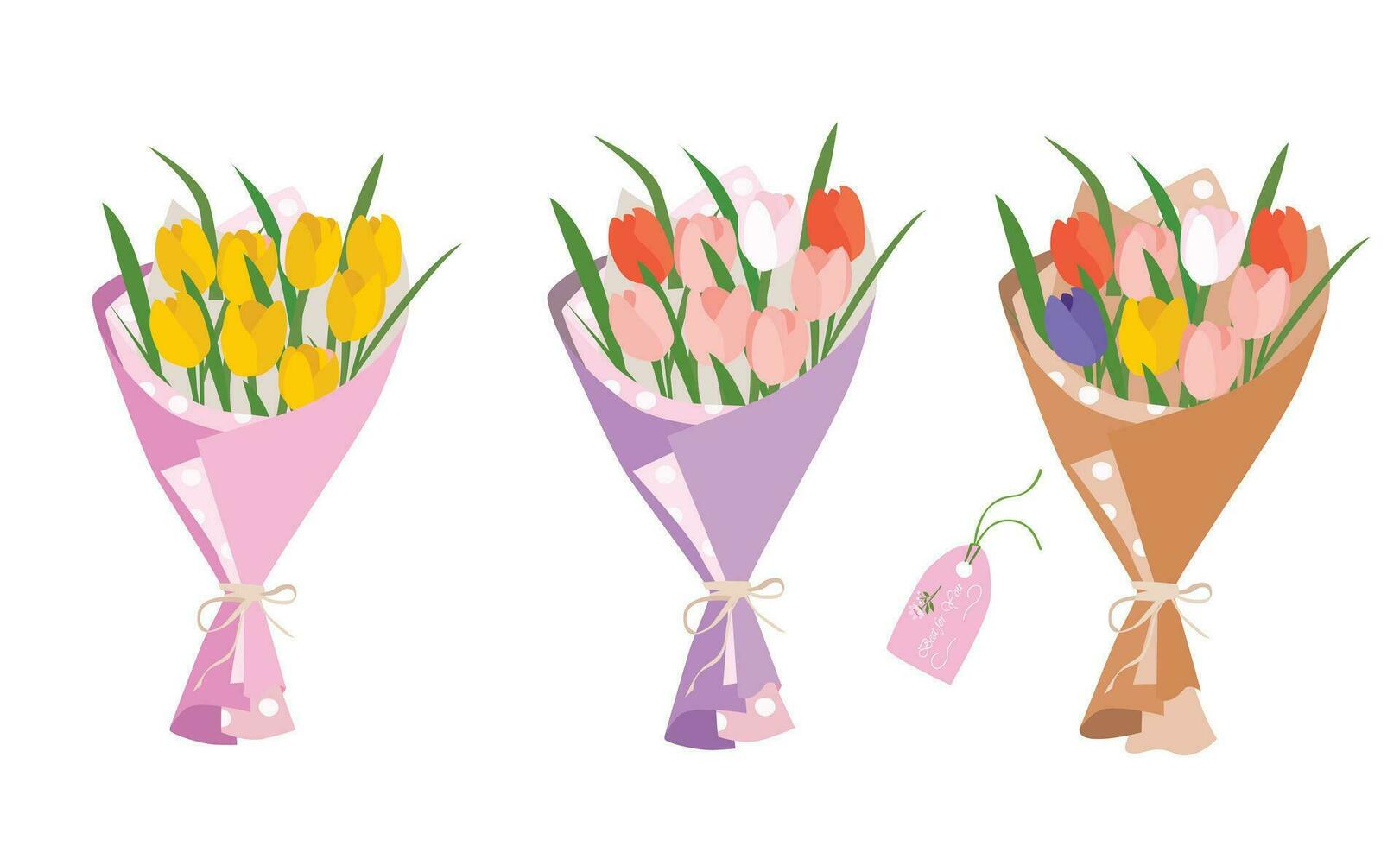 Strauß von Tulpe Blumen. Tulpe Blume Strauß Vektor Illustration. Frühling Blume. Blumen- Strauß eingewickelt im Geschenk Papier. Geschenk zum Besondere Tag, Feier Tag mögen Geburtstag, Lehrer Tag, Frauen Tag.