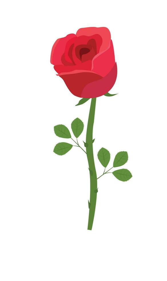 Rose Blume Vektor Illustration. rot Rose Vektor. Liebe Blume. Blumen- Clip Kunst. Natur Konzept. Blumen und Pflanzen. eben Vektor im Karikatur Stil isoliert auf Weiß Hintergrund.