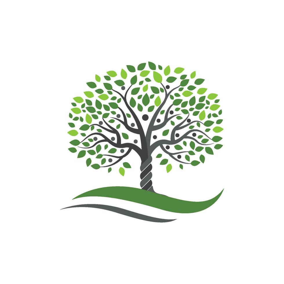 Stammbaum-Logo-Vorlagenvektor vektor