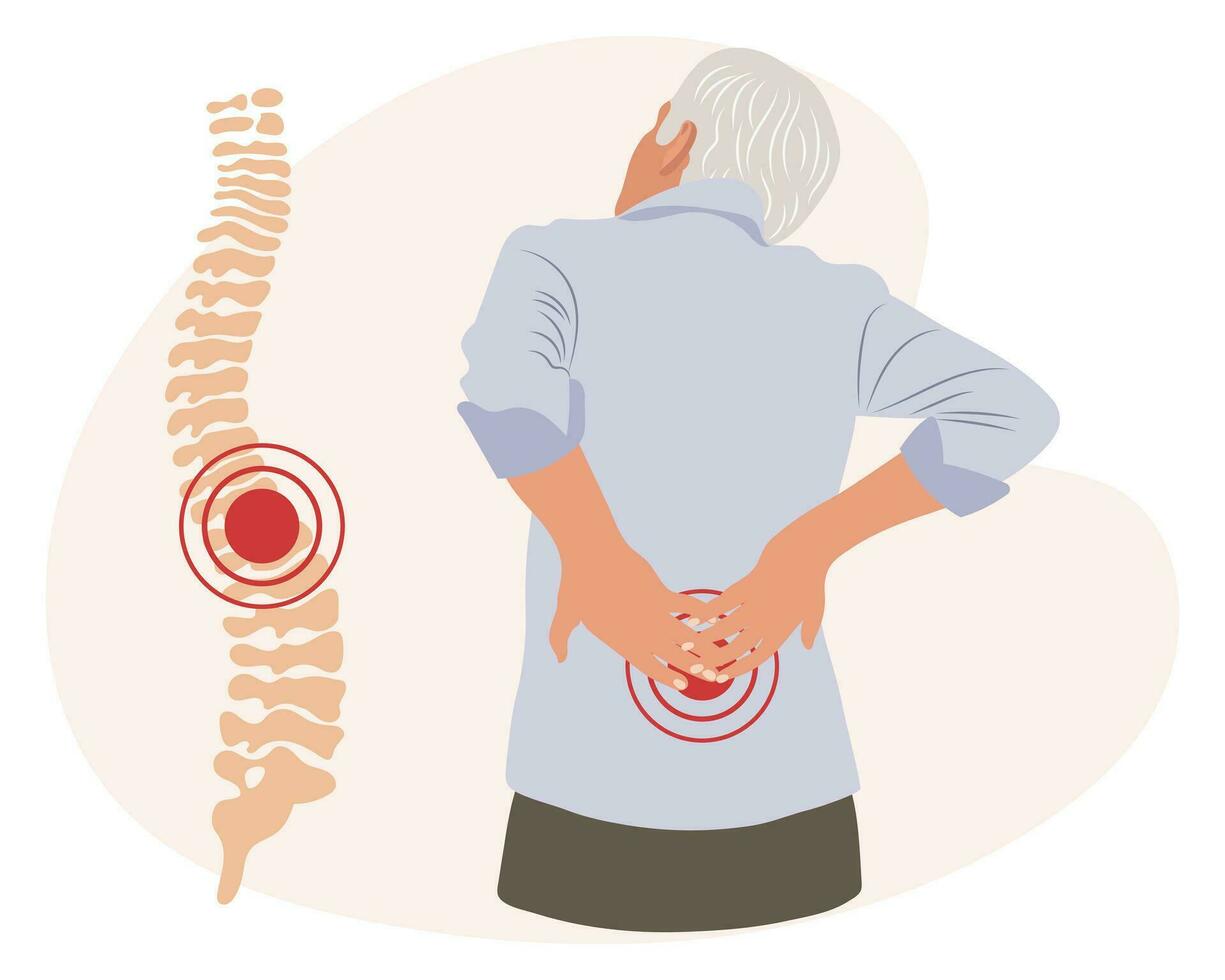 ein Mann mit Schmerzen im das zervikal und Lendenwirbelsäule Wirbel. zurück Schmerz, Muskel Schmerz, Arthrose, rheumatoide Arthritis. Medizin. Illustration, Vektor