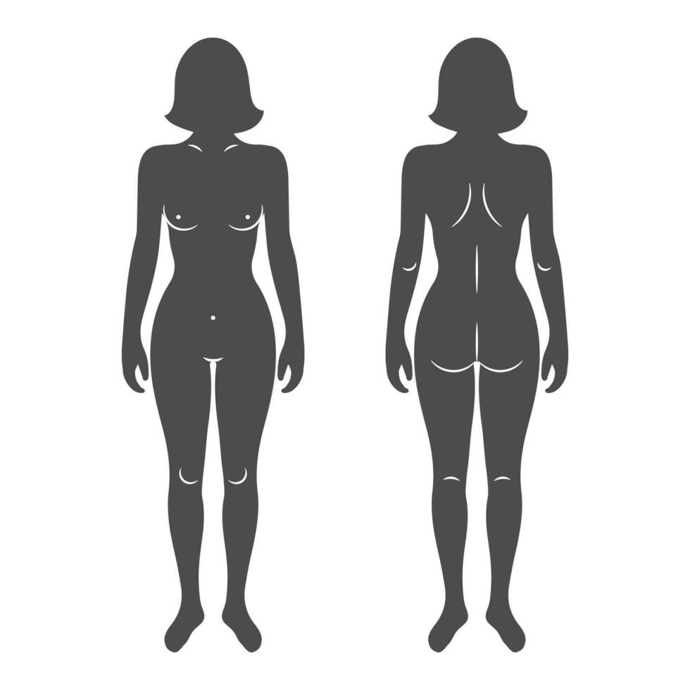 Silhouetten von das weiblich Mensch Körper, Vorderseite und zurück Ansichten. Anatomie. medizinisch und Konzept. Illustration, Vektor