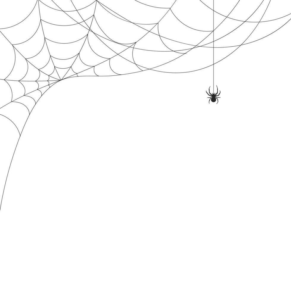 Weiß Hintergrund mit Spinnennetz und Spinne. Insekten. Illustration, Hintergrund mit Kopieren Raum, Vektor