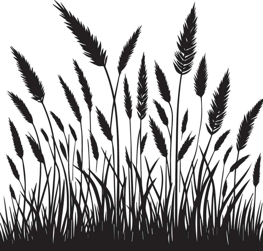 gräs vektor silhuett illustration