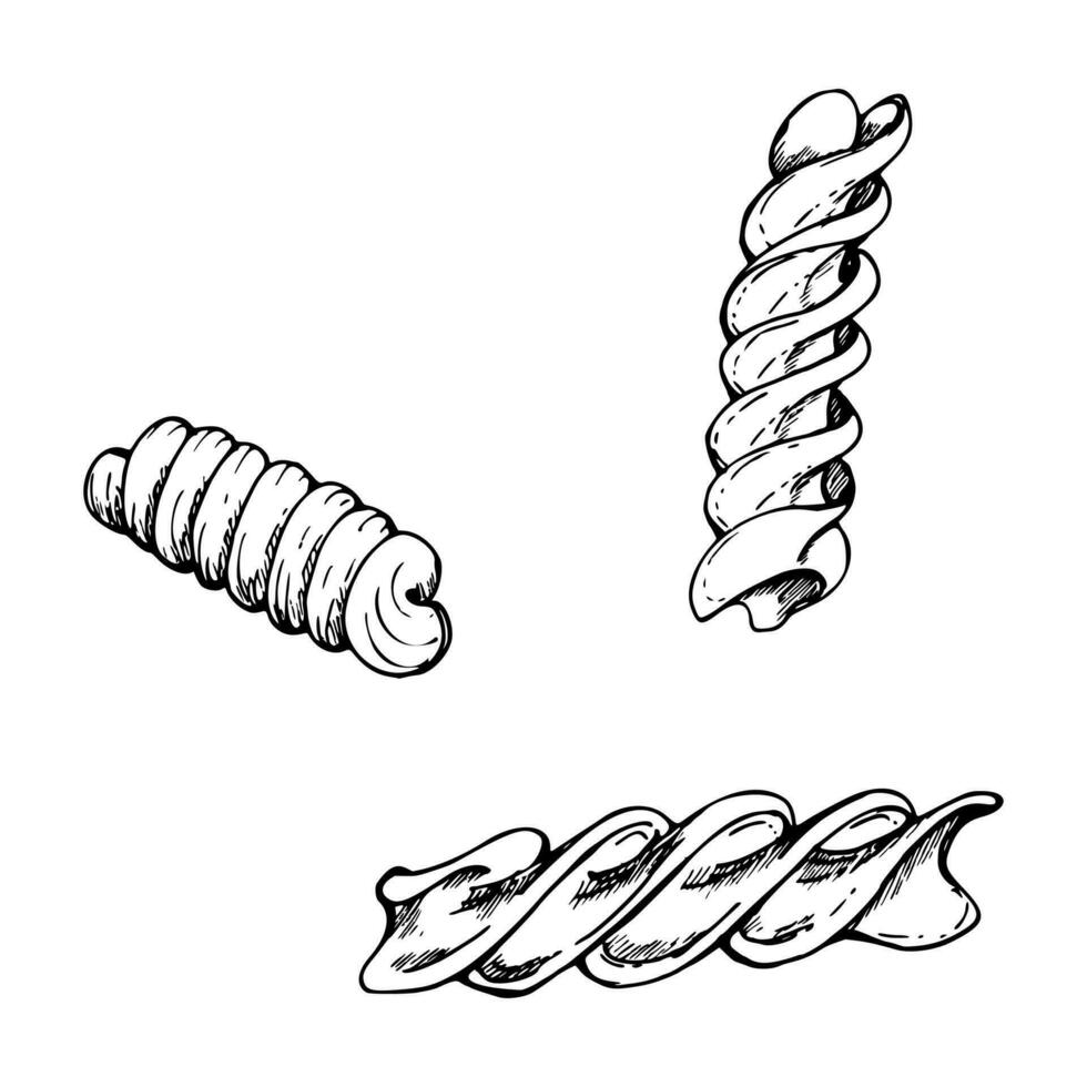 hand dragen vektor bläck illustration. typer av pasta italiensk kök fusilli, rotini korkskruv maträtt. uppsättning av enda objekt element isolerat på vit. restaurang, meny, mat affär paket, flygblad, skriva ut.