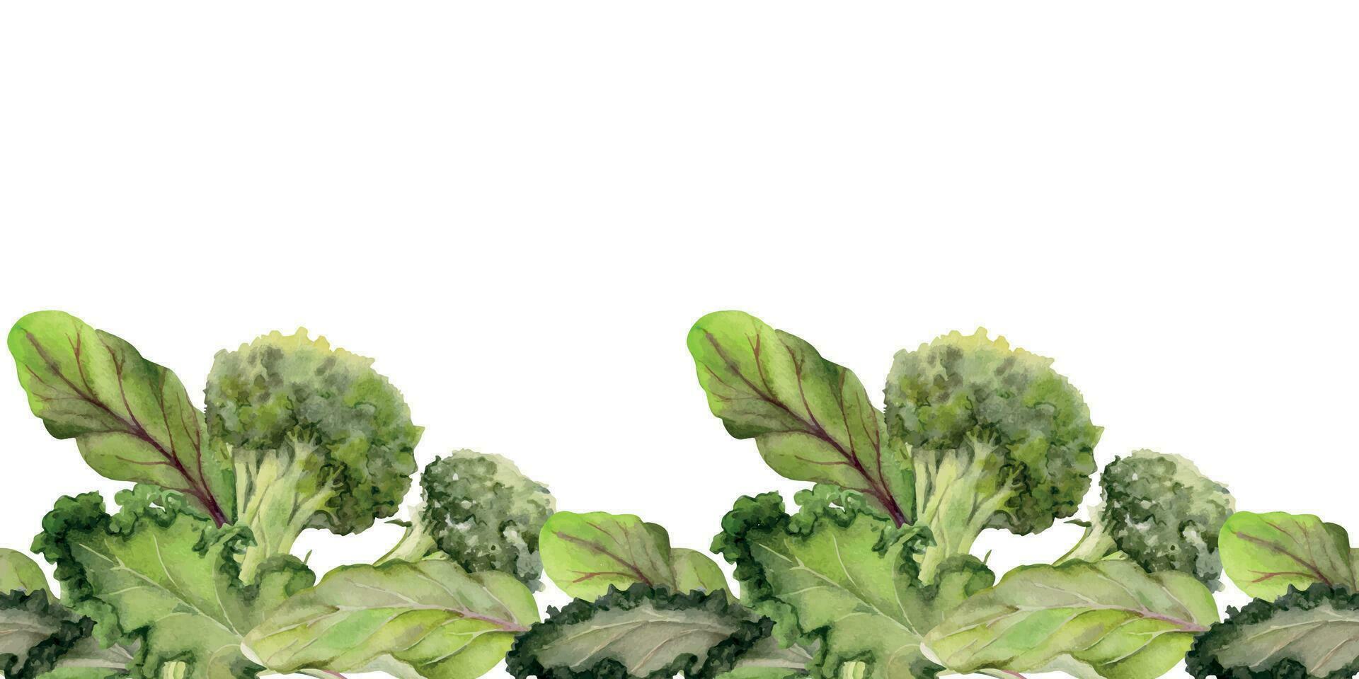 Hand gezeichnet Aquarell Gemüse und Grün Salat mischen zum Diät, gesund Lebensstil, vegan Kochen. Illustration nahtlos Rand isoliert auf Weiß Hintergrund. Design Poster, drucken, Webseite, Karte, Speisekarte vektor